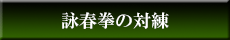 詠春拳の対練
