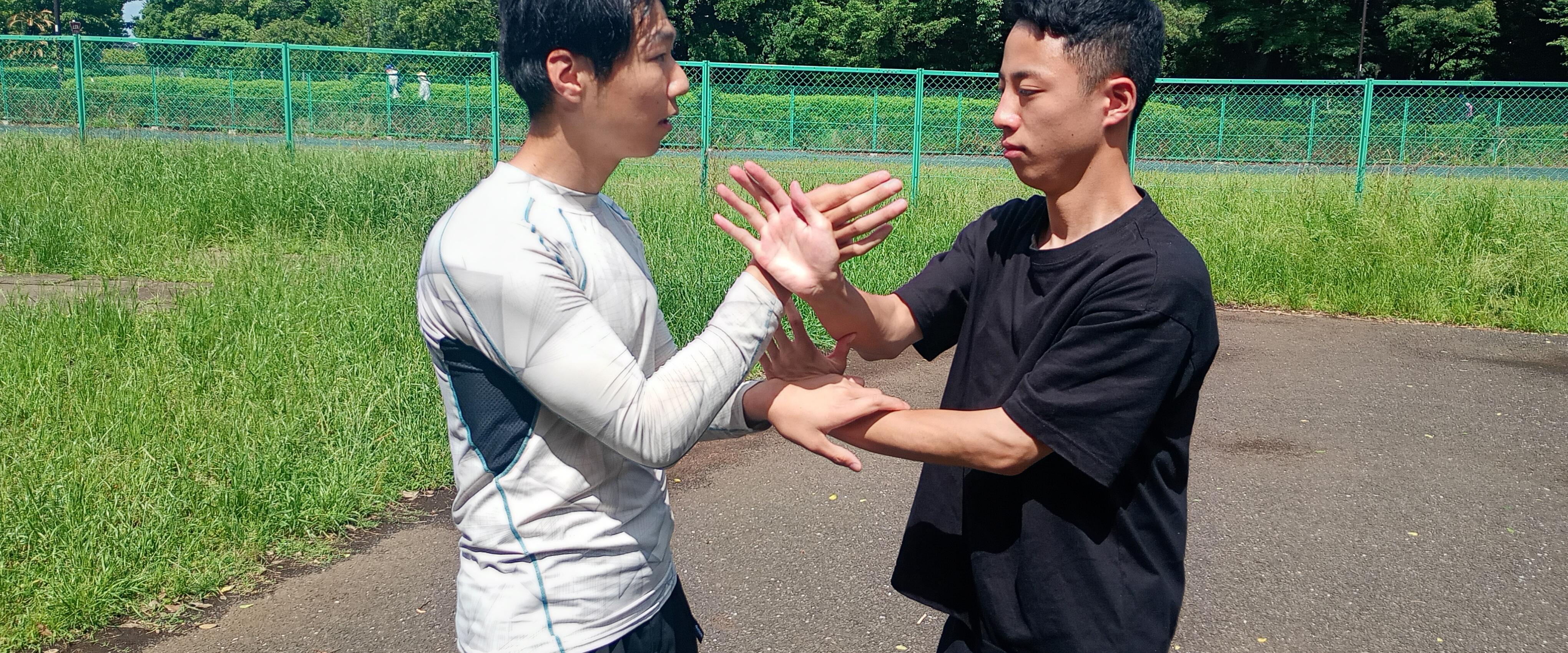 詠春拳の技法:ラップサウから正中線に貫手