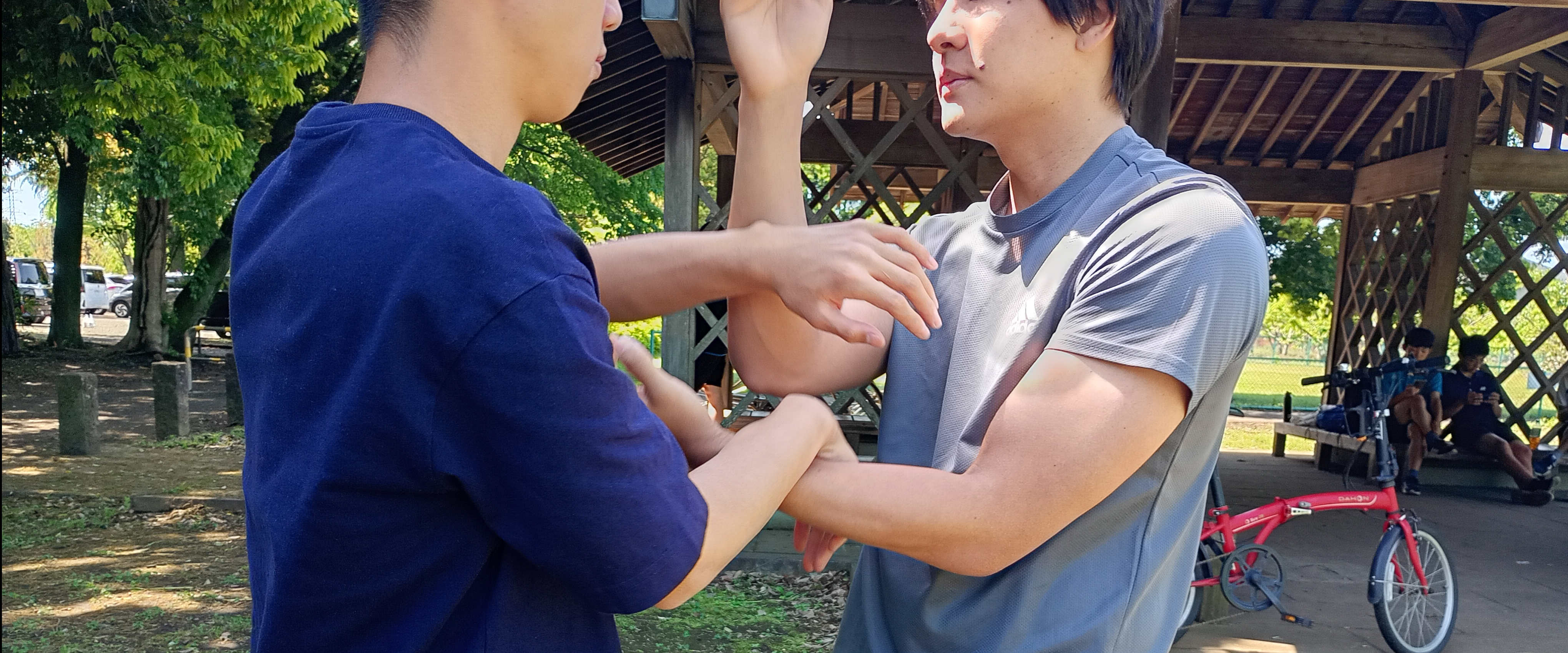 詠春拳の技法:盤手では上下差をしっかりつけたい