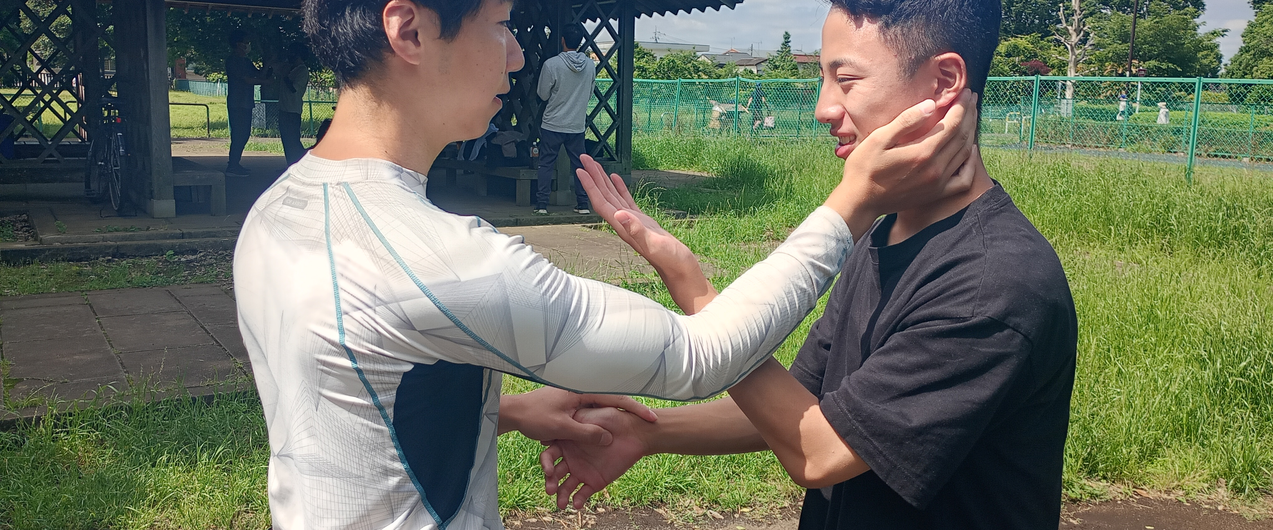 詠春拳の技法:アウトサイドからの厳しい掌打