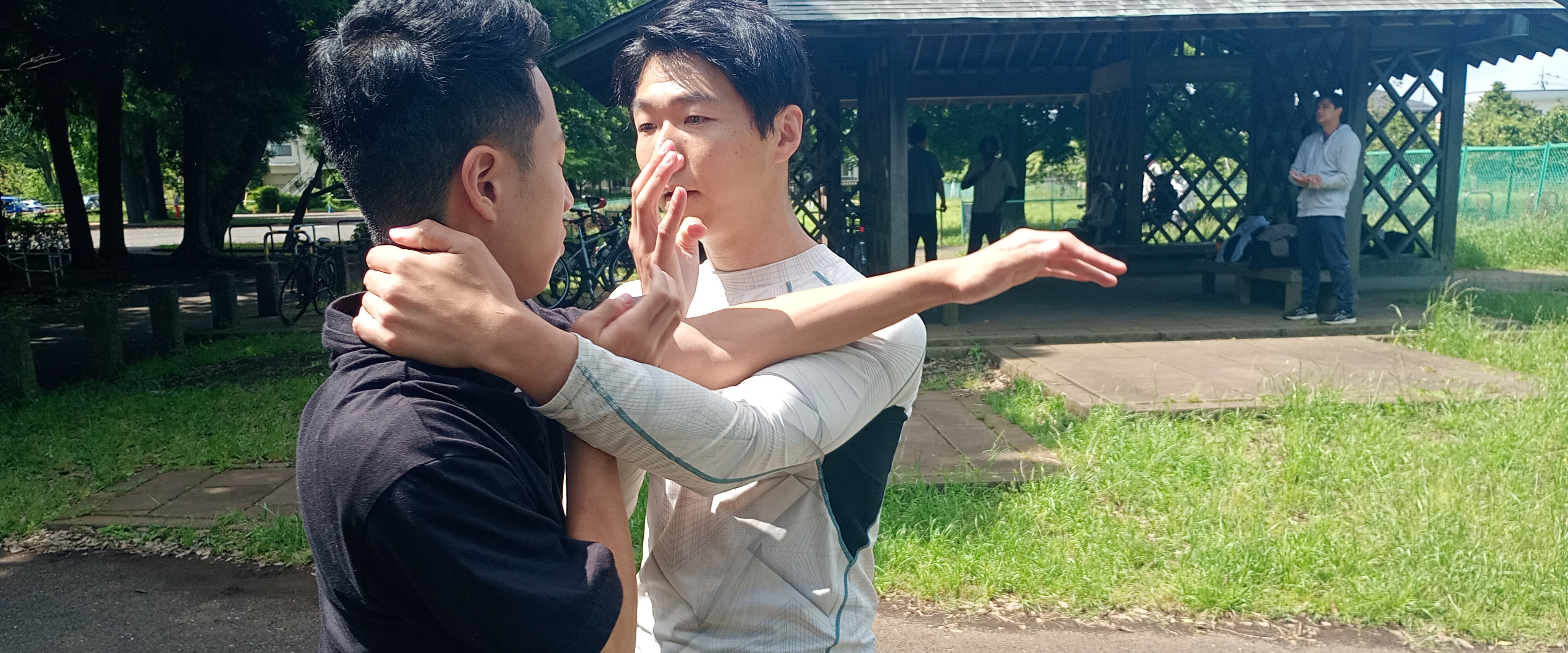 詠春拳の技法:相手の上腕側面を押さえながら首を取る