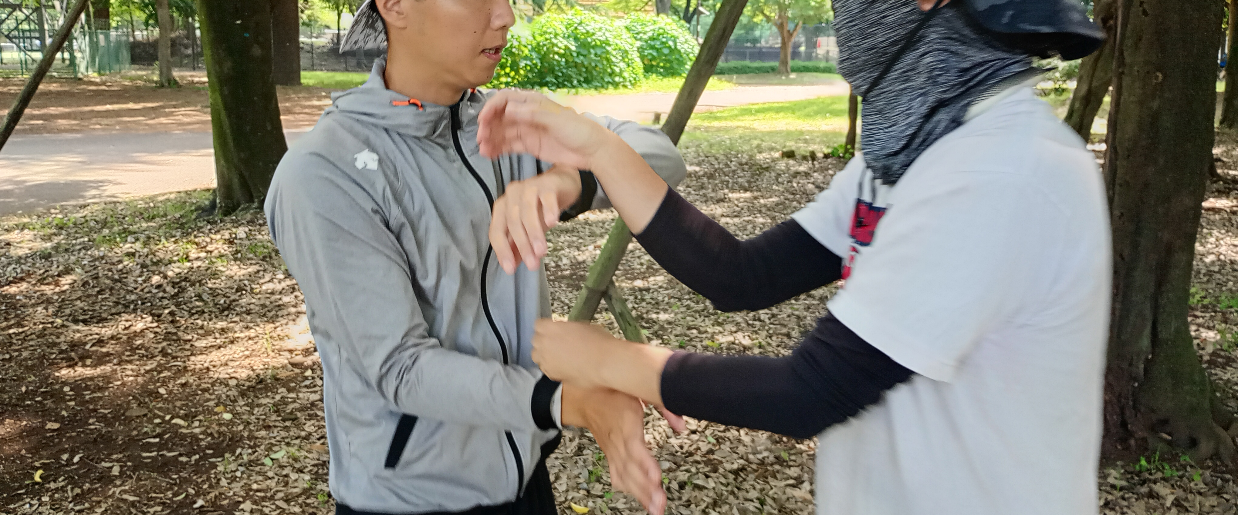 詠春拳の技法：タイミングよく走手を使う