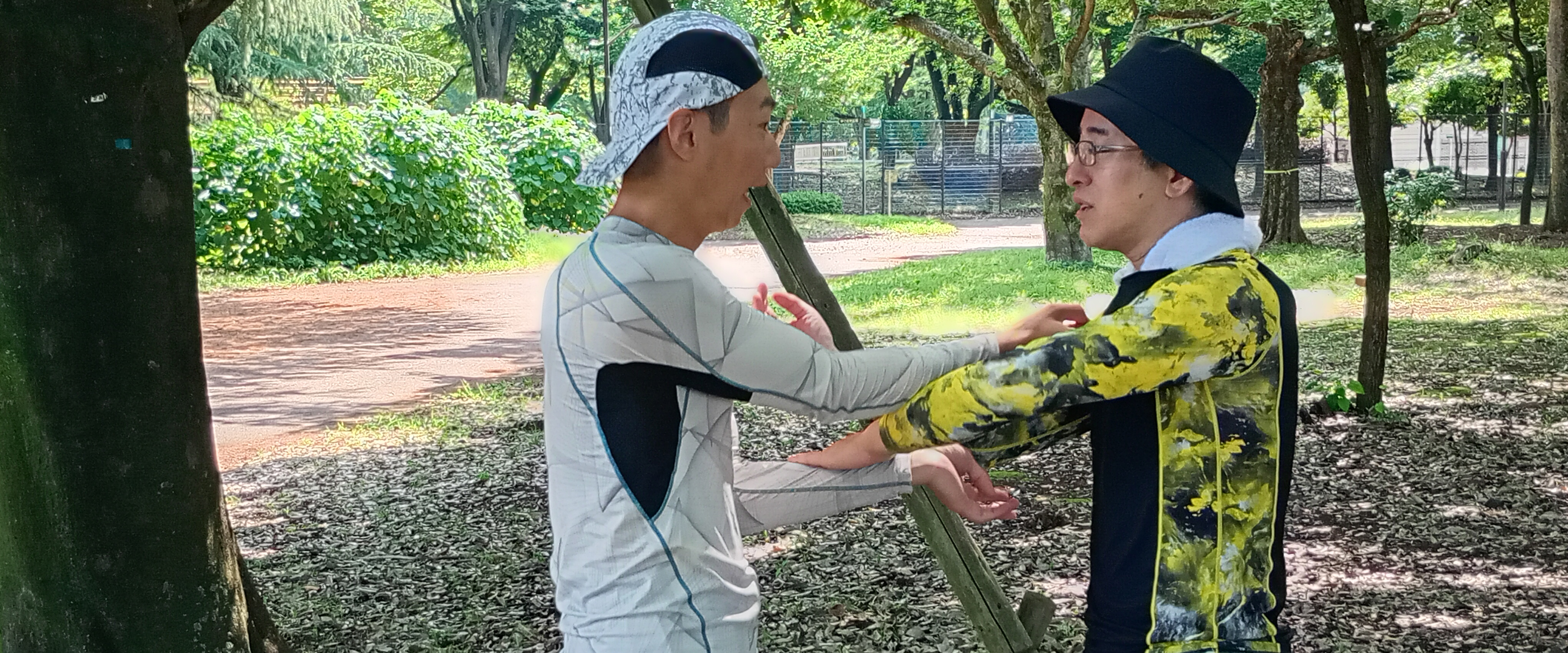 詠春拳の技法:構手(カウサウ)による力の受け流し